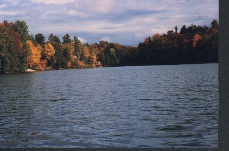 Au loin la vielle cabane qui fera place à la nouvelle maison 